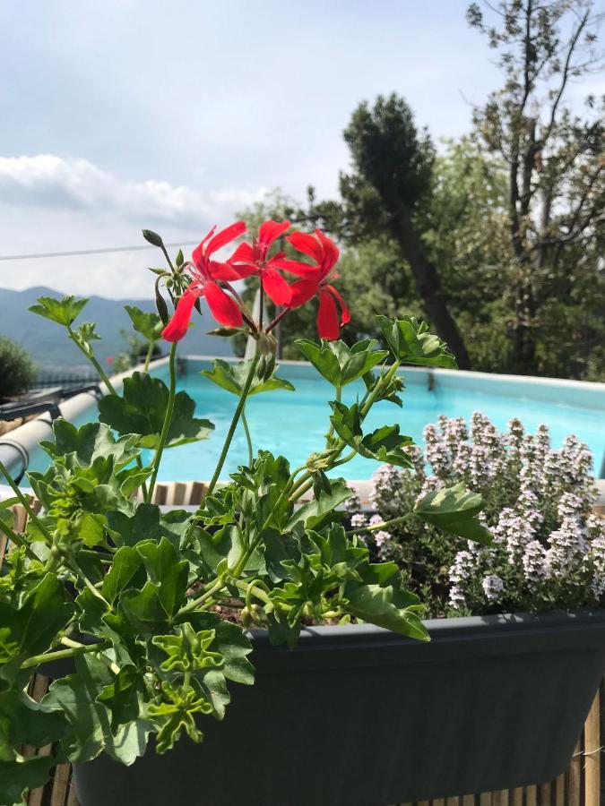 Villa Le Vignole Ameno Luaran gambar