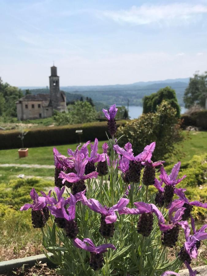 Villa Le Vignole Ameno Luaran gambar